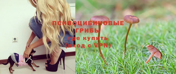 МДПВ Баксан