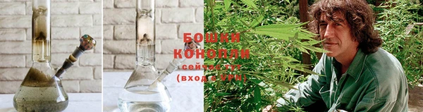 трава Балахна