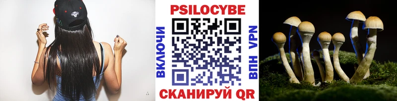 Галлюциногенные грибы Psilocybe  Бор 